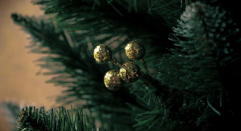 A karácsonyfa kérdés: cserepes, vágott vagy alternatív?