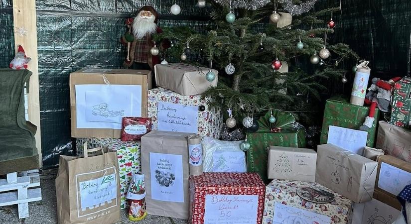 Állatok Karácsonya a Győri Állatmenhelyen – ahol minden tappancsnak jut egy kicsi az ünnep melegéből