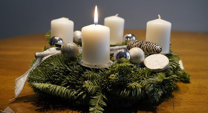 Zöld tudás az ünnepekre – Nagykutasi Viktor kertész szakíróval beszélgettünk