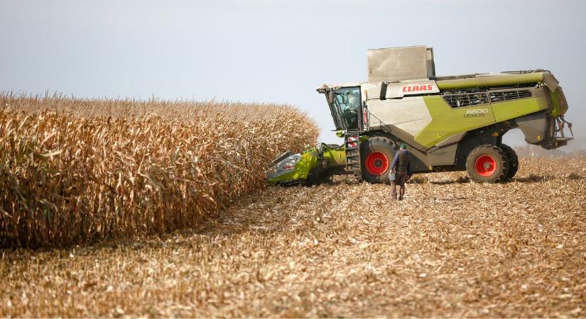 Termőképes, alkalmazkodó, gyorsan száradó – ilyen hibridekre van ma szükség