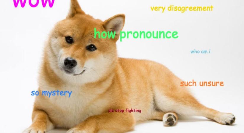 A Shiba Inu meme eredete – Hogyan lett egy japán kutyafajtából internetes ikon?