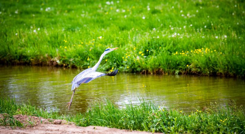 Az Európai Unióban kizárólag nálunk van, amit ebben a vízügyi projektben fejlesztenek