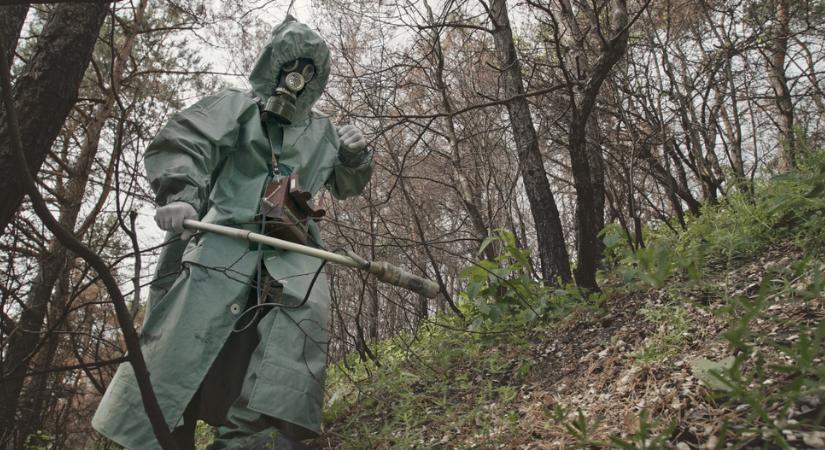 Csernobil megmentője: a gomba, ami megeszi a sugárzást
