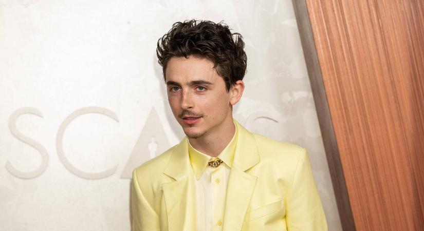 Itt a vad rajongói elmélet – Timothée Chalamet titokban tényleg rapperként lép fel?