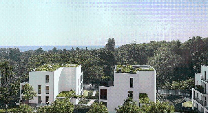 Buda presztízs kerületében épít lakóparkot a LIVING: elindult a XII. kerületi Mártonhegy Villapark értékesítése