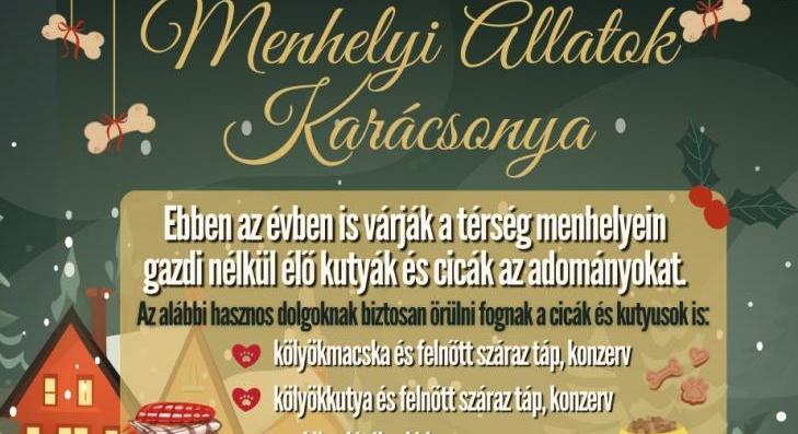 Idén is szebb lesz a menhelyi állatok karácsonya 