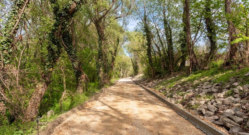 Új bringaút vezet majd a szentgáli tiszafáshoz