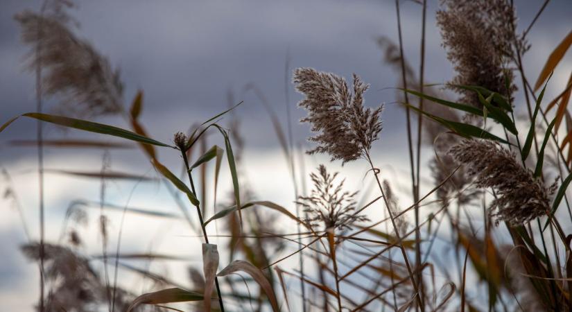 Holnapi időjárás-előrejelzés: így alakul a hőmérséklet és a csapadék szombaton
