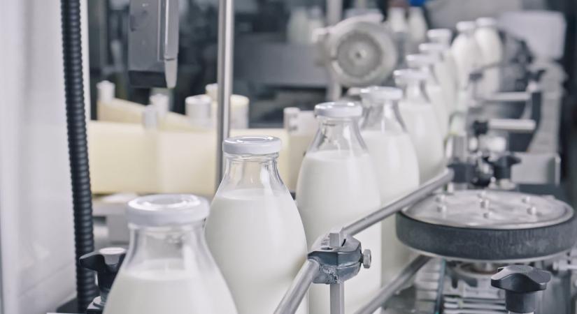 Védőháló a tejiparnak – 50 milliárdos keret segíti a hazai cégeket