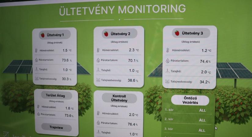 Ahol máshol gaz nő, Zalában málnabokrok teremnek: furcsa kísérlet indult a napelemek alatt (galéria)
