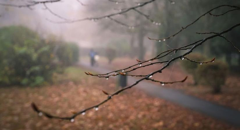 Szabadtéri programot tervezel a hétvégére? Jobb, ha erre időben felkészülsz