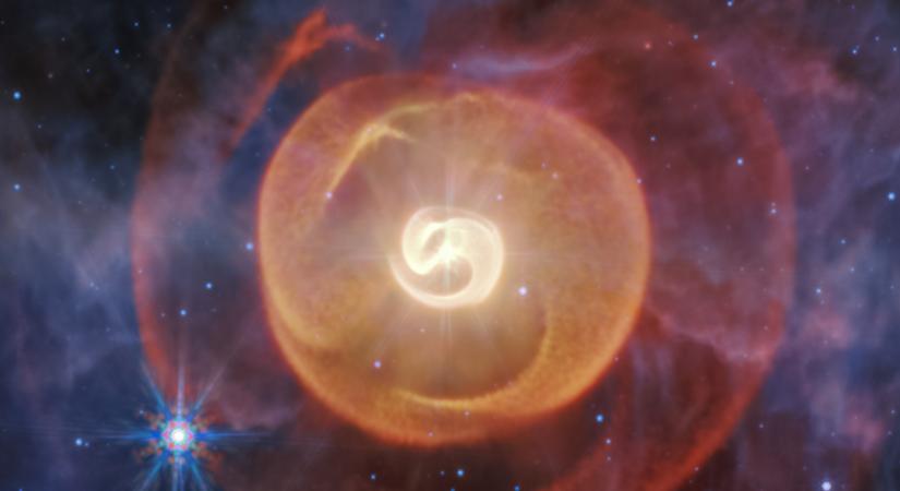 Kígyózó porhéjak