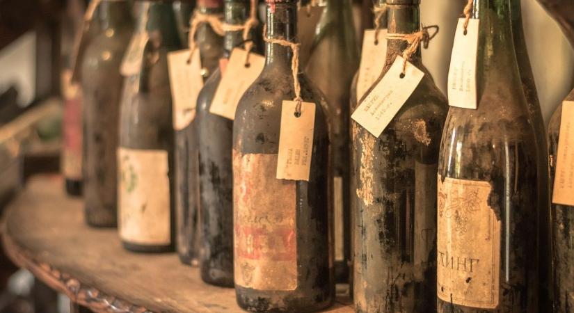 Megelevenedett egy régi hagyomány – egyre trendibb programokkal élvezhetjük az újbor ünnepét