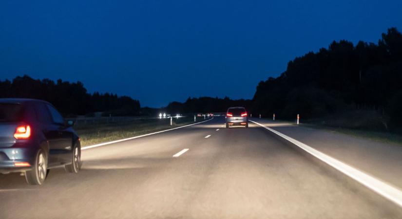 Elszabadult két óriási kutya a 44-esen, az arra közlekedők felváltva kerülgetik őket