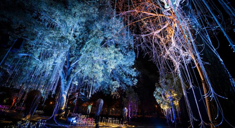 Lumina Park – Varázsvilág