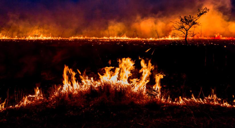 Akkora tűz ütött ki ebben a térségben, hogy ezer hektárt elpusztított