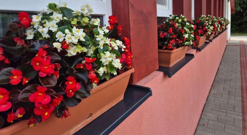 Bakonycsernye ismét elismerést kapott a Virágos Magyarország versenyen