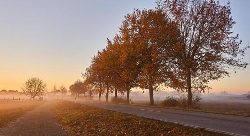 Milyen idő lesz holnap Baranyában? Napfény, enyheség – és egy kis esti fordulat!