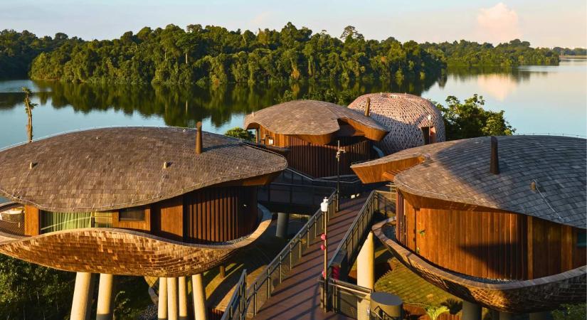 Első Szingapúrban, századik a világon – különleges szálloda nyílt az esőerdő szívében