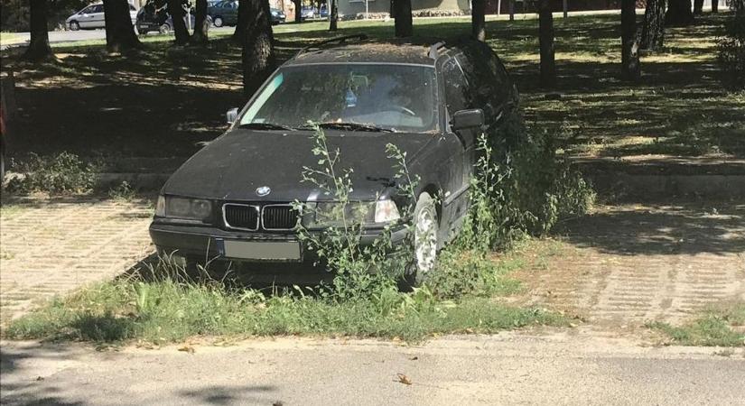 Kinő a fű a csomagtartóból: az elhagyott autók mögött mindig akad nyom a tulajdonoshoz