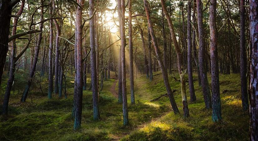 Most önmagunkért léphetünk a TETT-ek mezejére Debrecenben