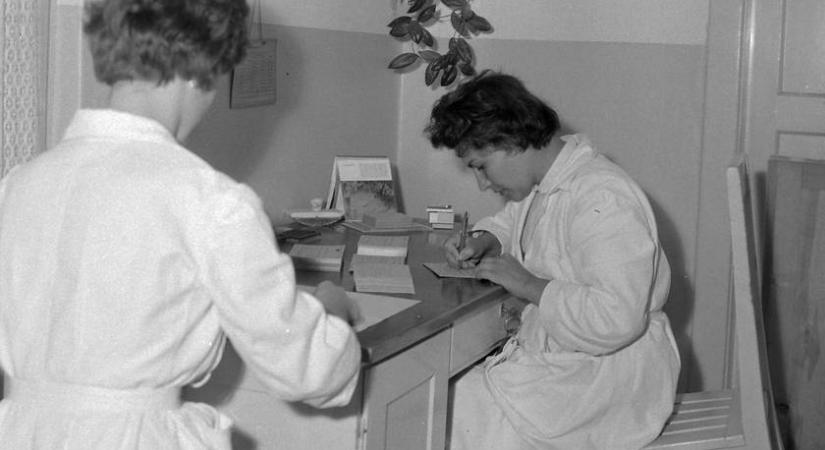 Főorvos lett, majd eltiltották hivatásától az első olyan orvosnőt, aki hazánkban diplomázott