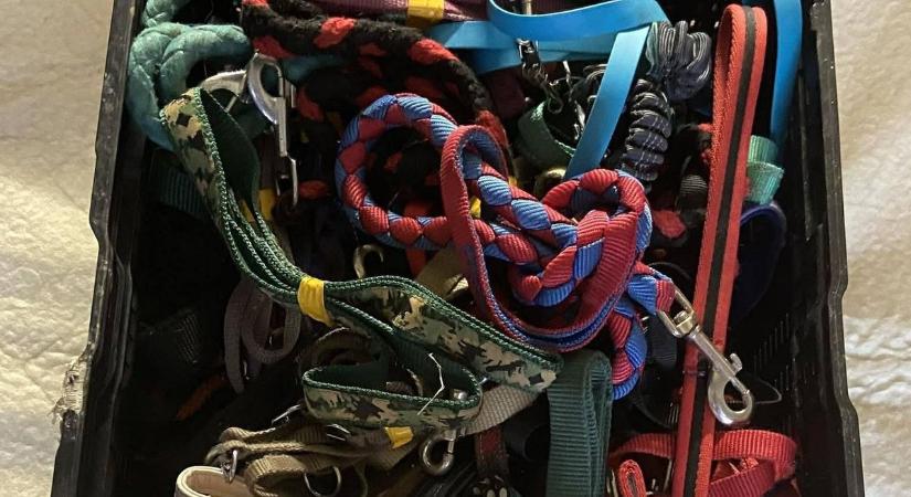 Különleges vásár segíti a devecseri állatokat