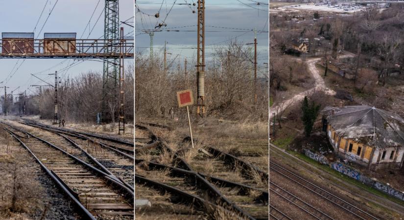 Megalapozó környezeti felmérés nélkül indult el Rákosrendező tervezése