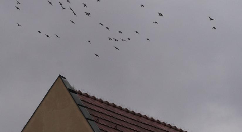 Nem sok örömünk lesz a szombati időjárásban