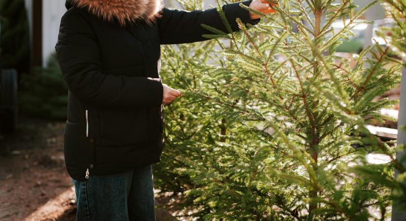 Időjárás 2025. november 29.: kora téli, nyugodt idő lesz