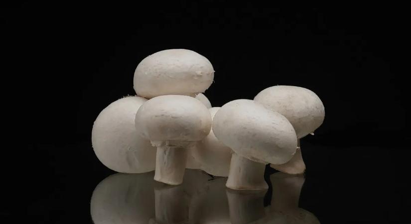 Ez a hétköznapi élelmiszer lehet a szívbetegségek titkos fegyvere