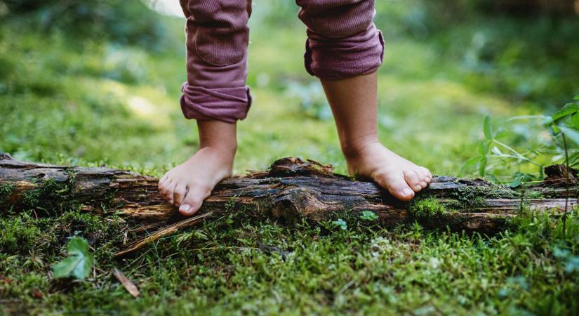 Egyetlen óvodai körülményen módosítottak, a gyerekek immunrendszere gyorsan meghálálta