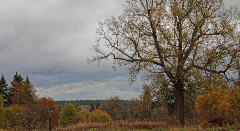 Akár meg is ázhatunk az ősz utolsó hétvégéjén
