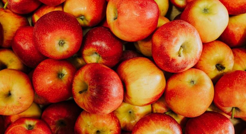 Gyümölcstároló pincék klímája – páratartalom és penészmentesítés