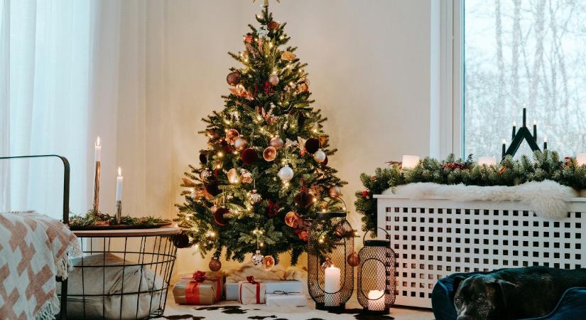 Égősor helyett idén ezt tedd a karácsonyfára! Mindenki elámul tőle, milyen egyedi és különleges a fenyőd