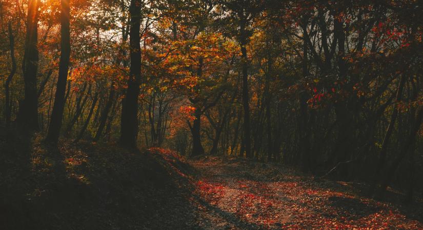 Végre lesz minek örülni: mutatjuk, milyen idővel búcsúzik a november