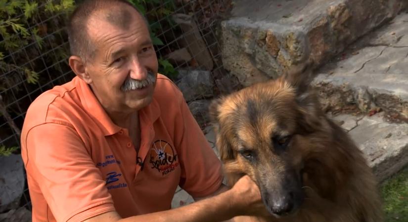 Gyászol a mentőkutyás közösség: meghalt Lehoczki László, Mancs gazdája