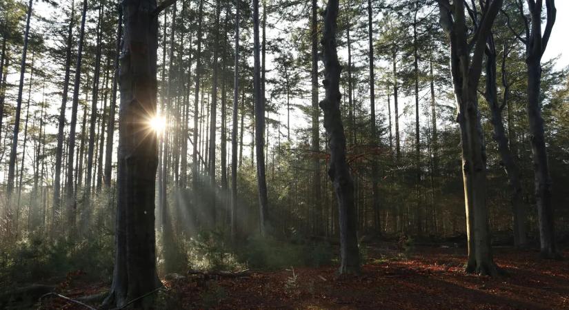 Stagnálás, majd enyhülés: már csak pár napot kell kibírni, hogy kicsit melegebb legyen az idő