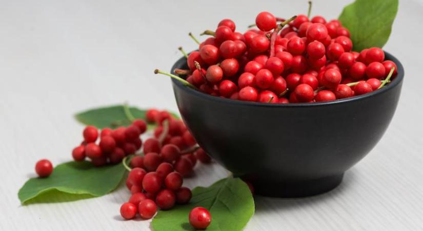 Védi a májat és elősegíti a regenerációját ez az egy növény: valahol ősidők óta ezt használják