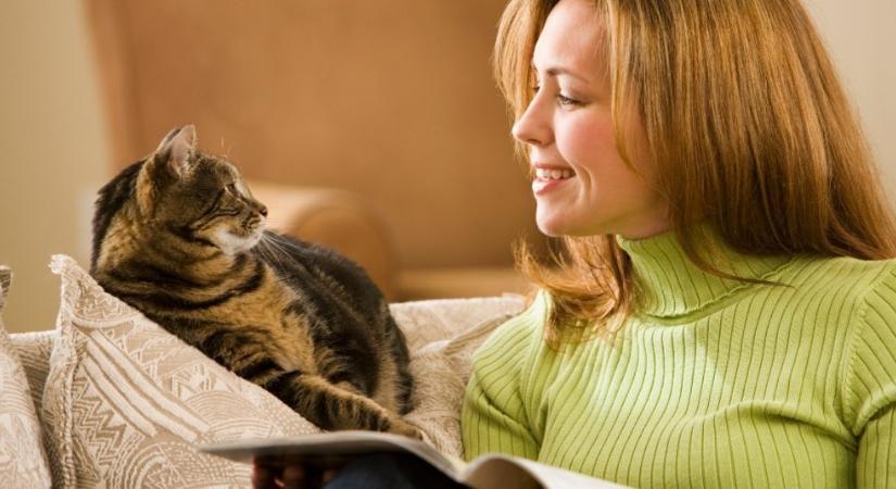 Így reagál a macska, amikor meghallja a gazdi hangját