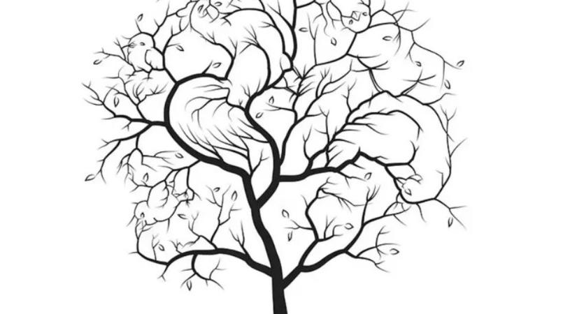 Optikai illúzió: kivételesen magas az IQ-ja, ha rájön, milyen állatok vannak a képen