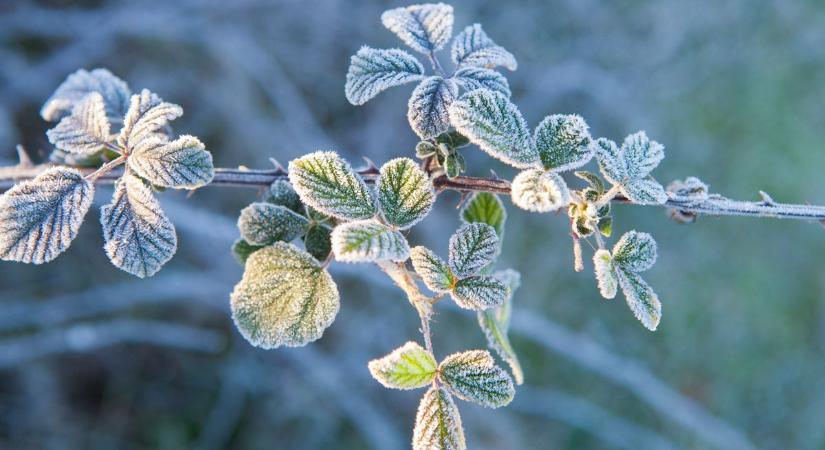 Borongósan indul a hétvége, igazi télies idő várható