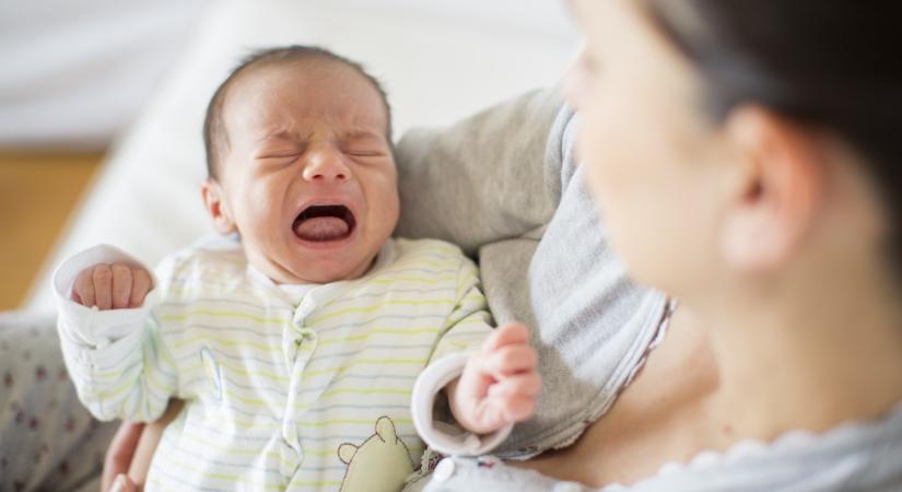 Tejallergia vagy laktózérzékenység? Ez a különbség