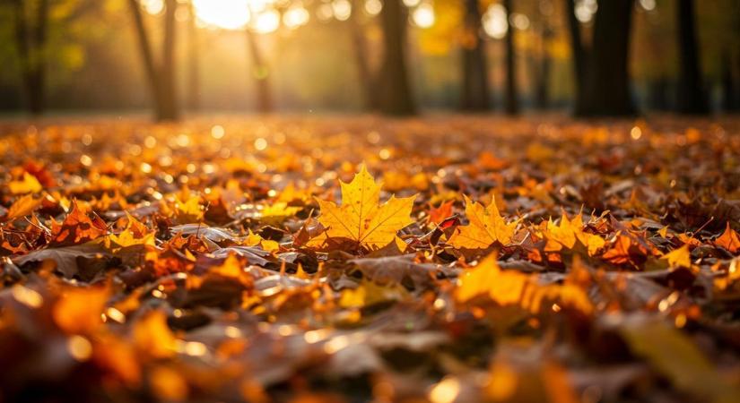 Meghoztuk a hétvégi programkínálatot – indul a karácsonyi kavalkád