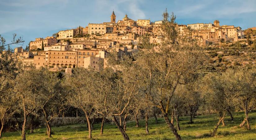 Itáliai olajbogyó-szüreten jártunk: hogyan lesz a bogyóból palackozott olaj?