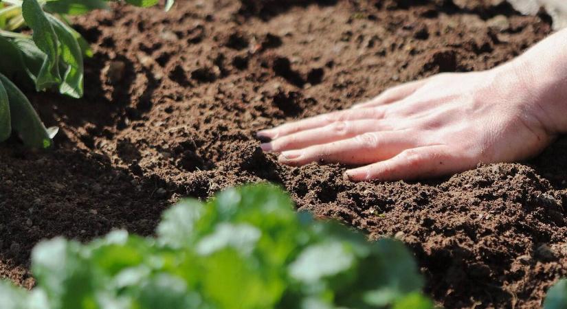Talajfáradás ellen: ismerje fel és hozza rendbe!