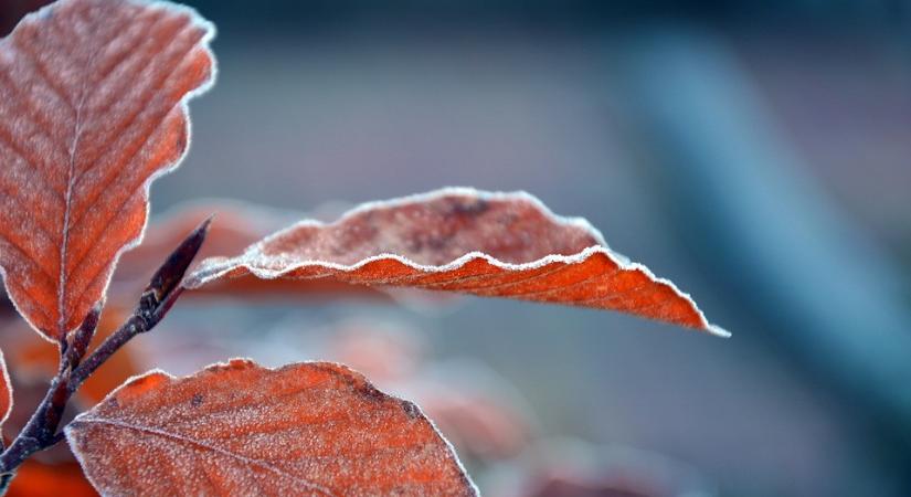 Időjárás- Szombaton több órára kisüt a nap