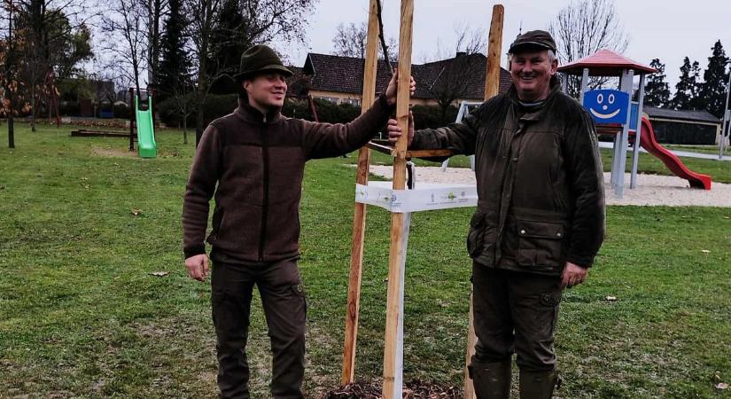Ilyen ültetés még nem volt ebben a faluban, nézze hova kerültek a csemeték!