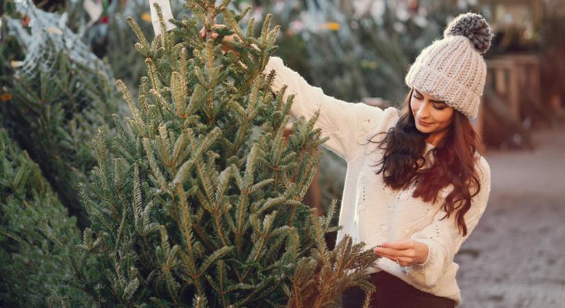 A stressz illata fenyővel fűszerezve – avagy így készülök az ünnepekre