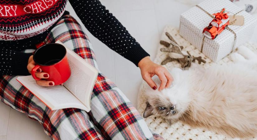 Ha nem akarod elrontani a karácsonyi ajándékot, ezekből a könyvekből válassz!